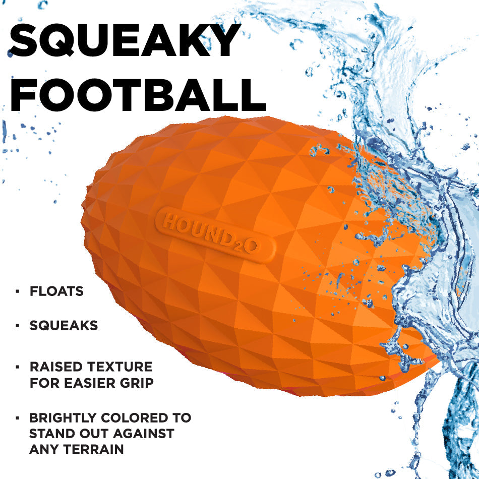 
                  
                    Squeaky Football
                  
                