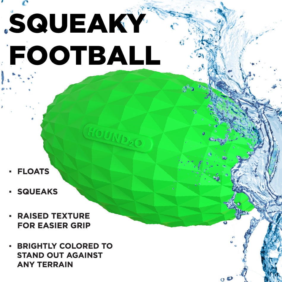 
                  
                    Squeaky Football
                  
                