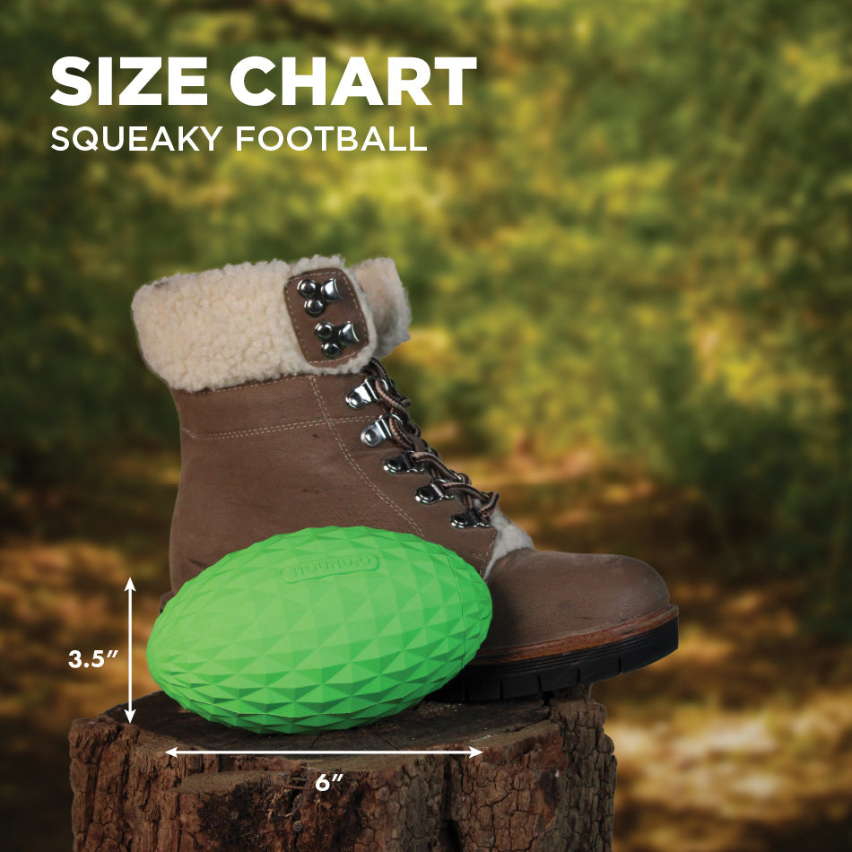 
                  
                    Squeaky Football
                  
                