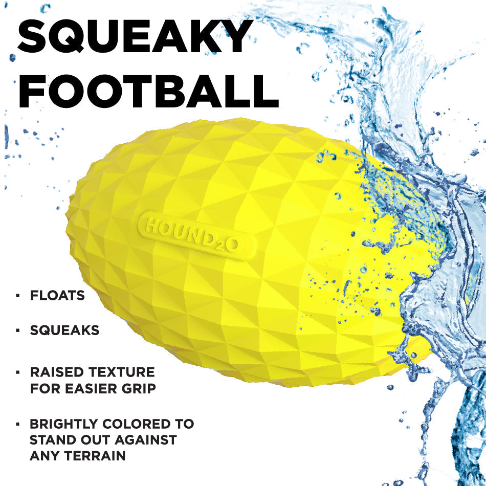 
                  
                    Squeaky Football
                  
                