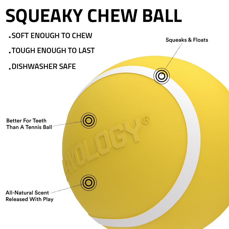 
                  
                    Squeaky Chew Ball | Apple Cider
                  
                