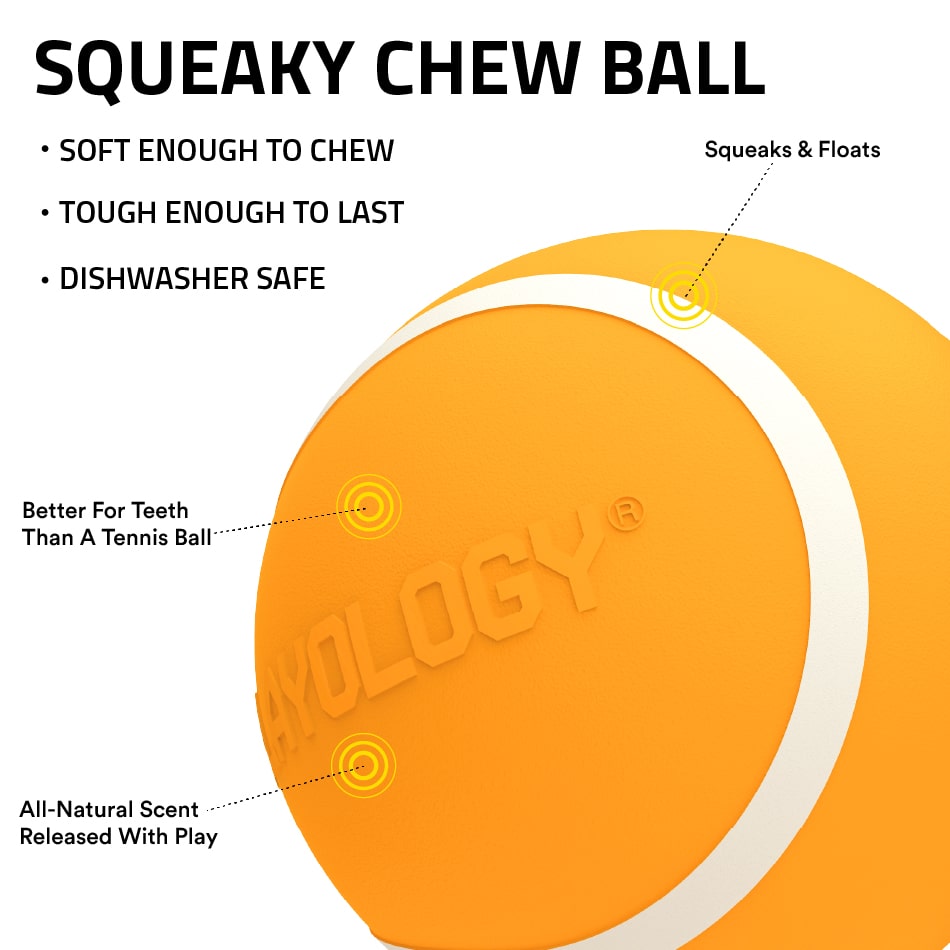 
                  
                    Squeaky Chew Ball | Pumpkin Spice
                  
                