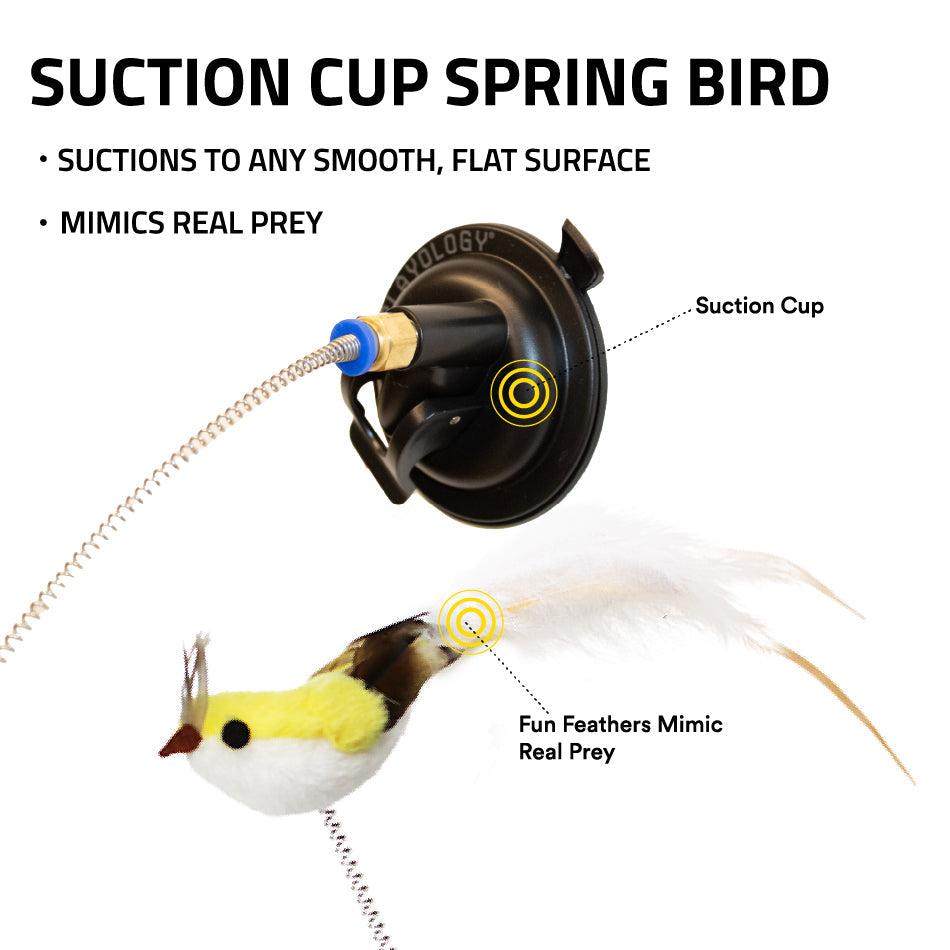 
                  
                    Suction Cup Spring Bird
                  
                