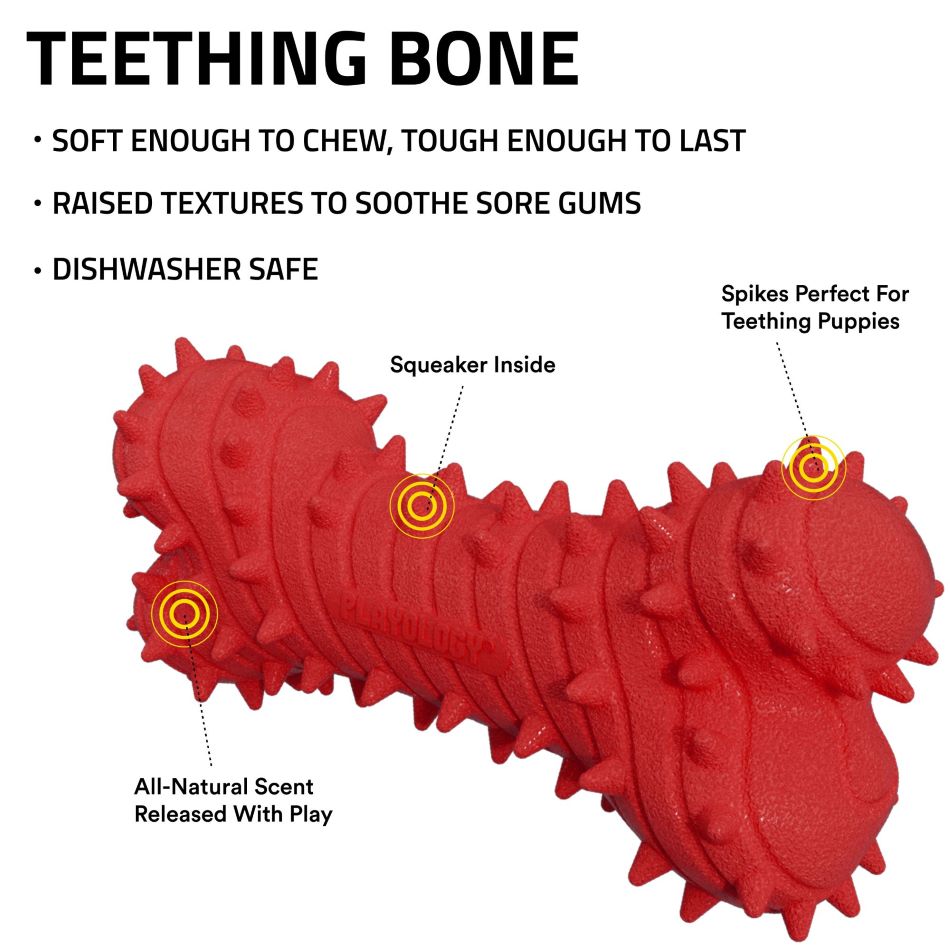 
                  
                    Teething Bone
                  
                