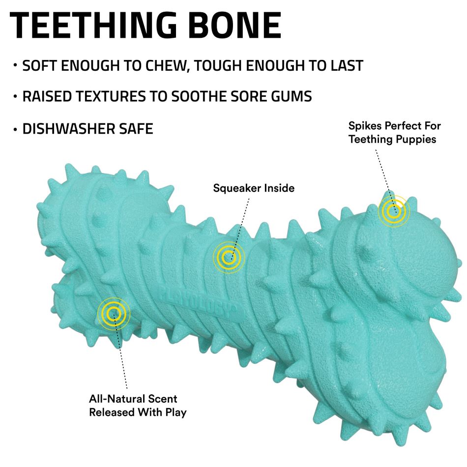 
                  
                    Teething Bone
                  
                