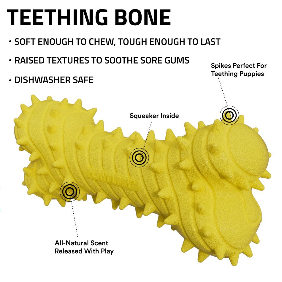 
                  
                    Teething Bone
                  
                