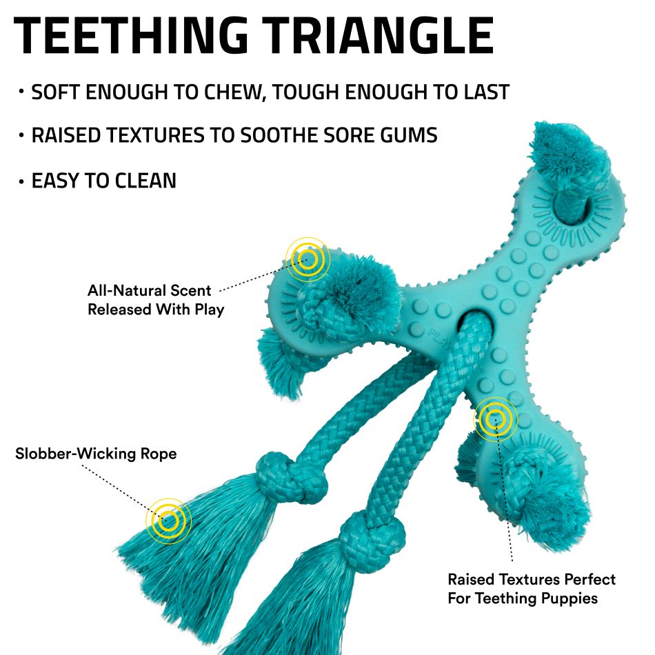 
                  
                    Teething Triangle
                  
                