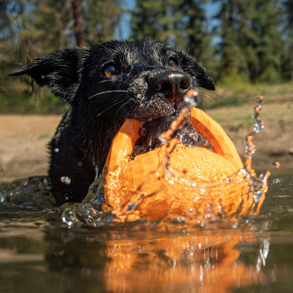 
                  
                    Squeaky Tug Ball
                  
                