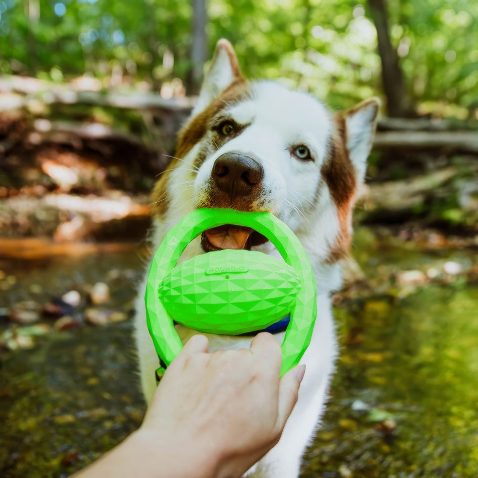 
                  
                    Squeaky Tug Ball
                  
                