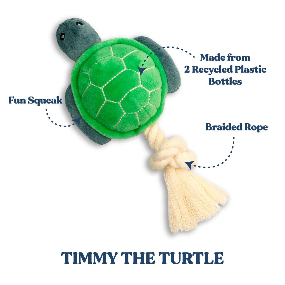 
                  
                    Timmy the Turtle
                  
                