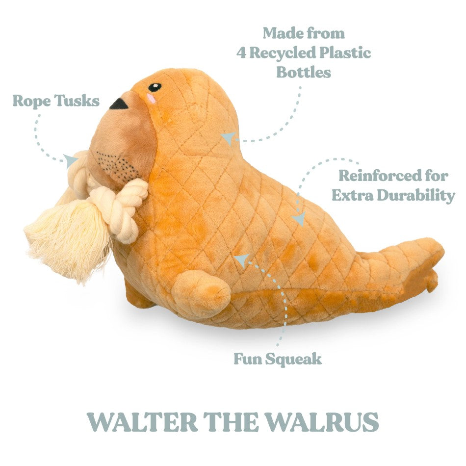 
                  
                    Walter the Walrus
                  
                