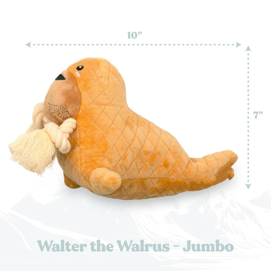 
                  
                    Walter the Walrus
                  
                