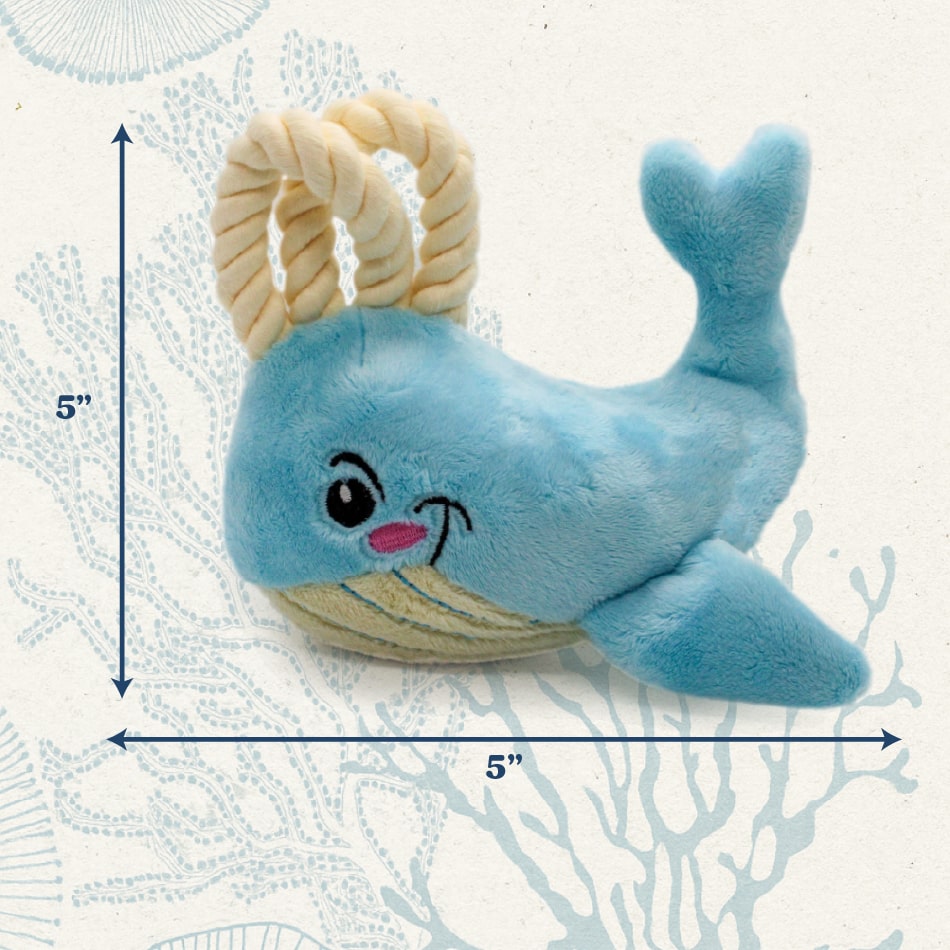 Wendy – Playology