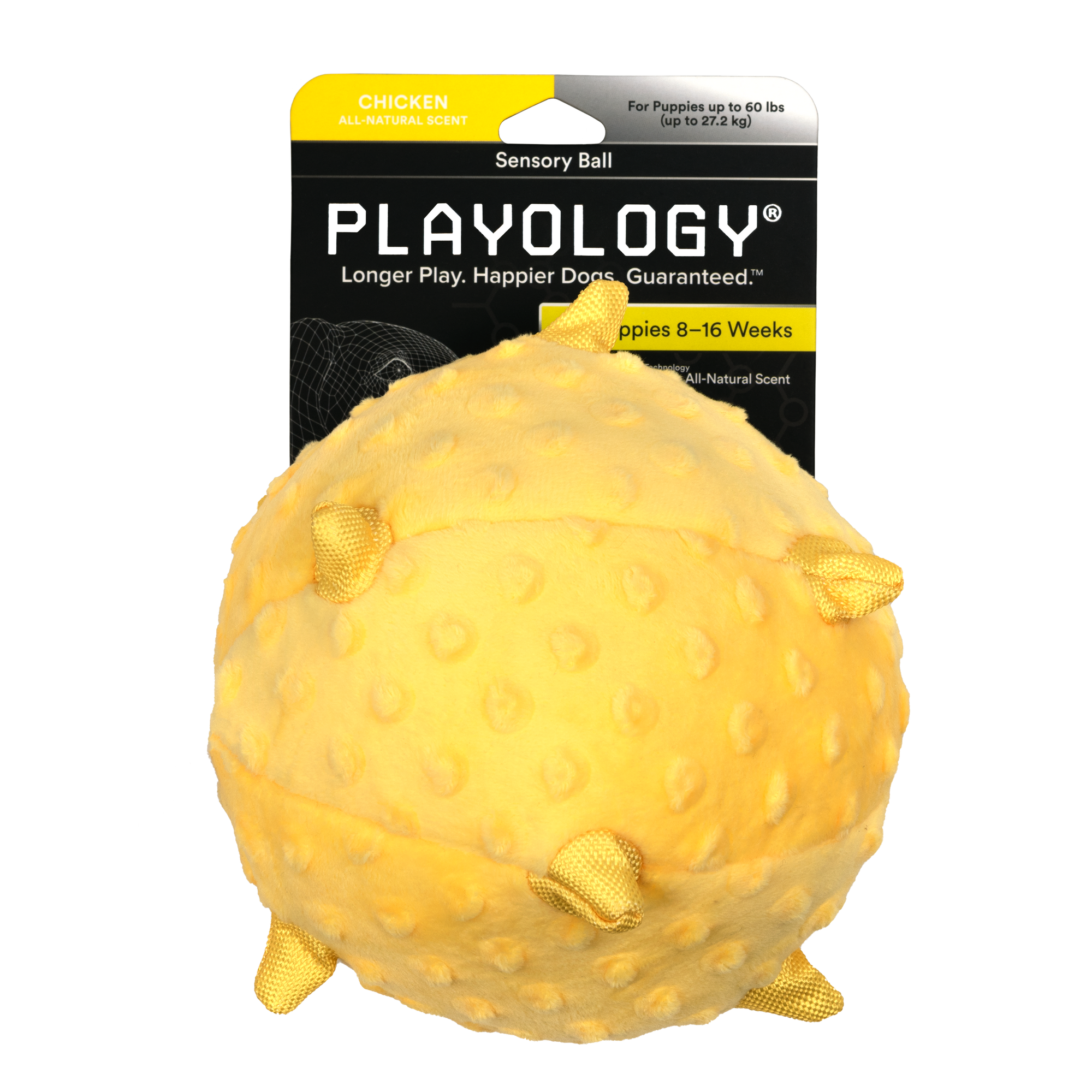 Puppy Sensory Ball - Playology