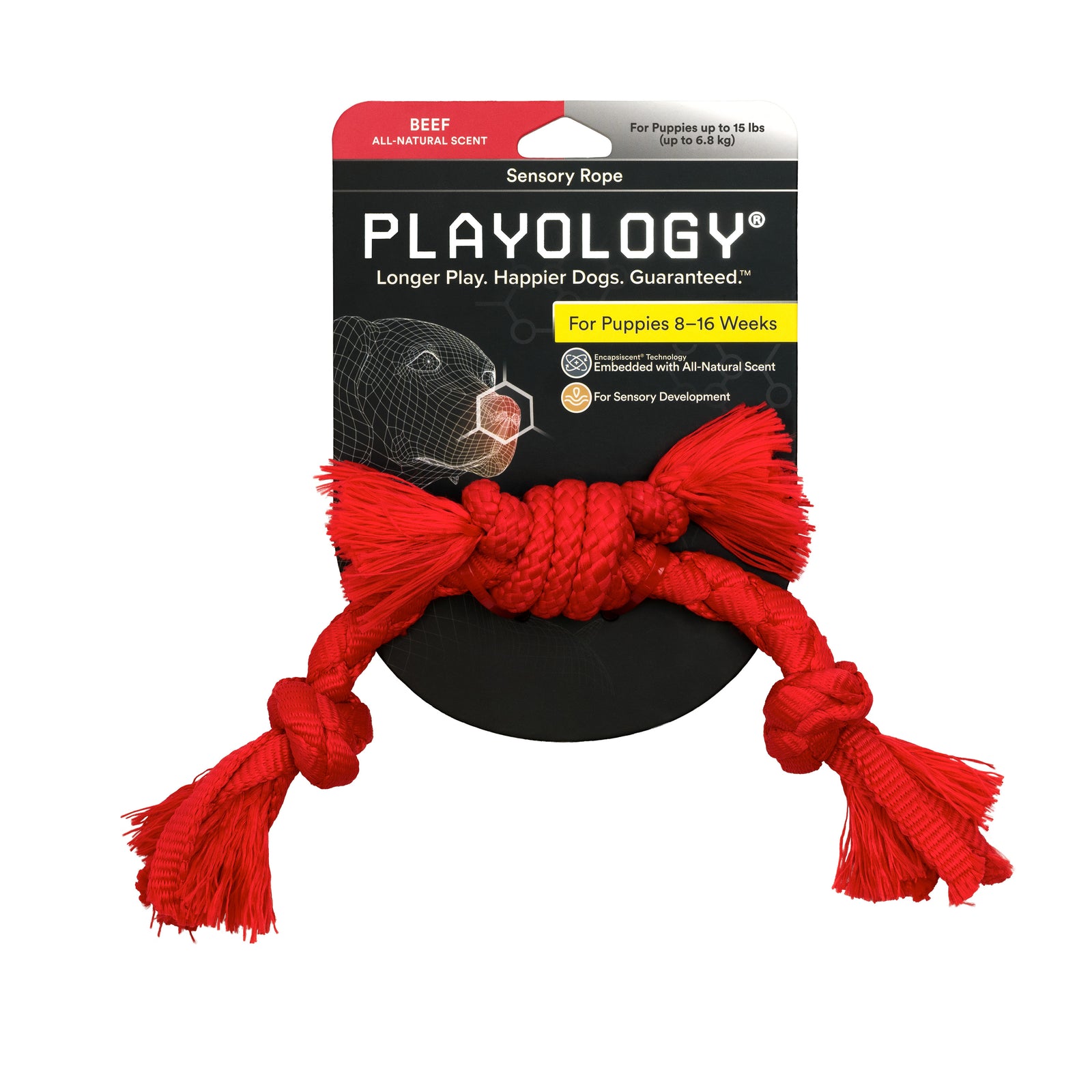 Sensory best sale dog toys