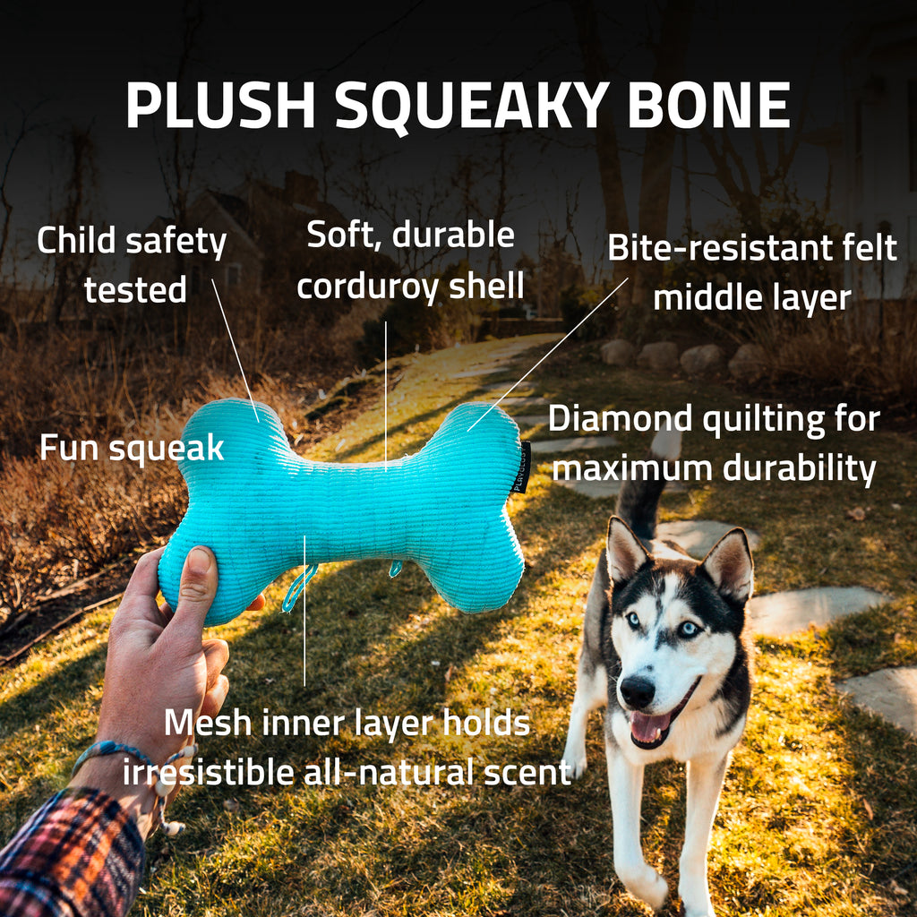 Buy Playology Plush Squeaky Dog Toy for Moderate Chewers - Medium