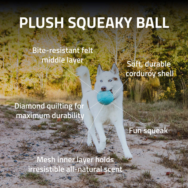 Plush Squeaky Ball